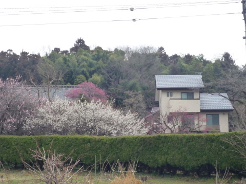 嵐山町/M様邸 嵐山町/M様邸