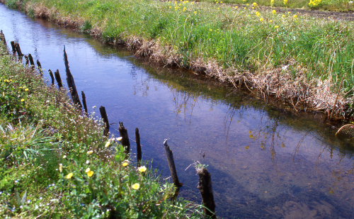クリックにて拡大