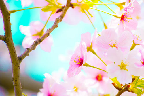 クリックにて拡大