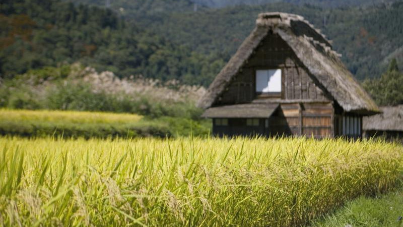テンプレートファイル対応 テンプレートファイル対応