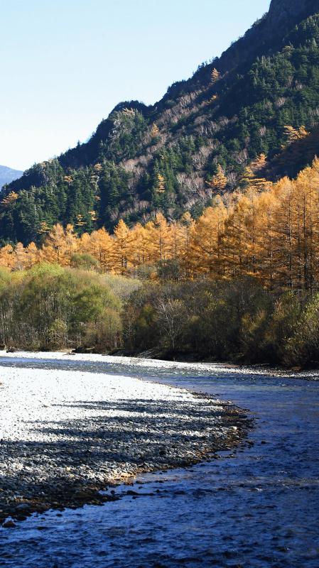 更新日時の新しい順に新着情報ページを自動生成します。 更新日時の新しい順に新着情報ページを自動生成します。