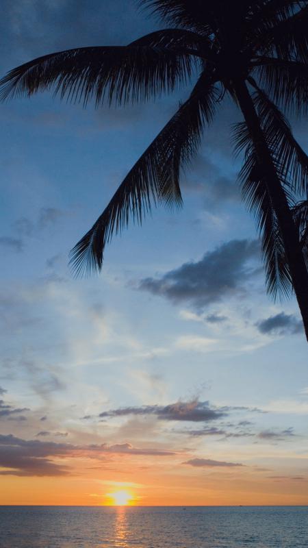 専用のScriptタグを貼り付けるだけでタイトルのみ一覧表示 専用のScriptタグを貼り付けるだけでタイトルのみ一覧表示