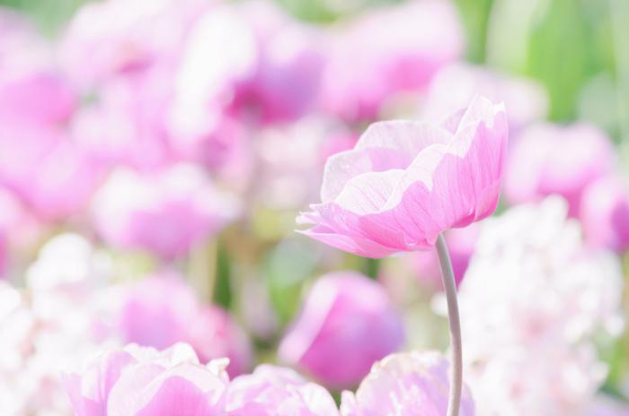 クリックにて拡大表示