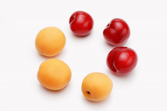 クリックにて拡大表示