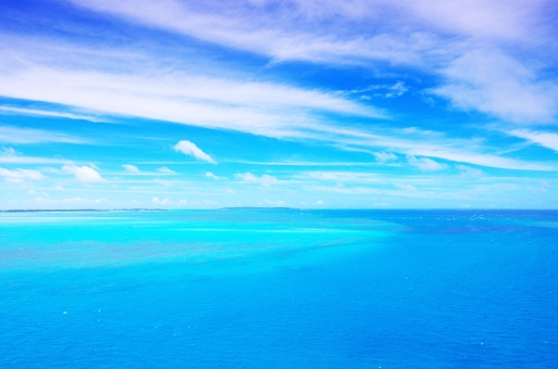 クリックにて拡大表示