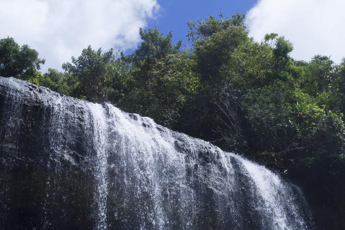 クリックにて拡大表示