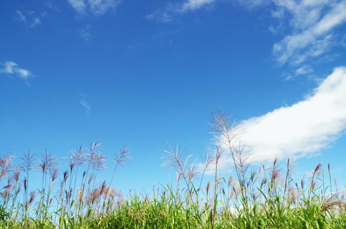 クリックにて拡大表示